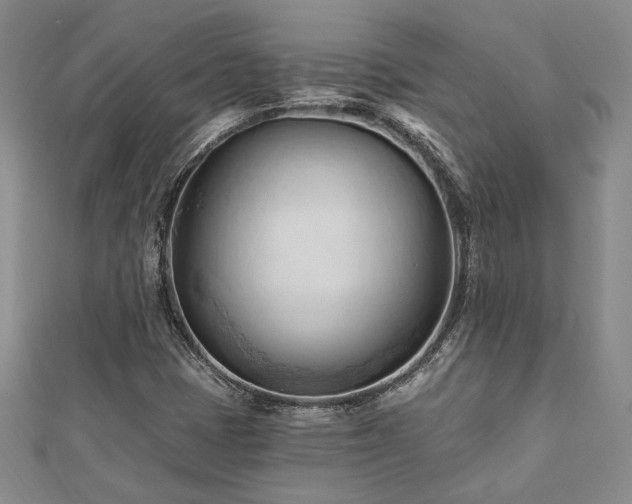 X0000113131401200909041138
