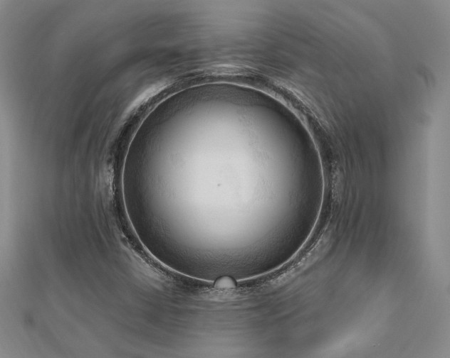 X0000113131402200909041138