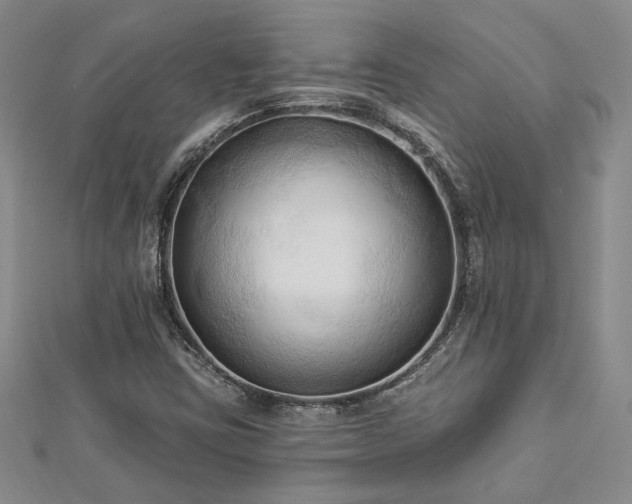 X0000113131403200909041138