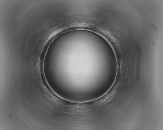 X0000113131404200909041138