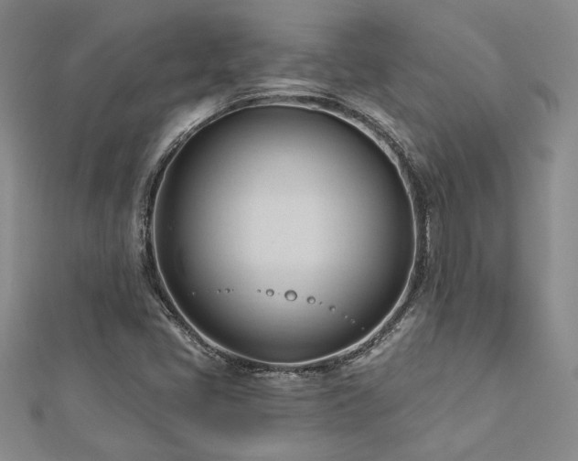X0000113131405200909041138