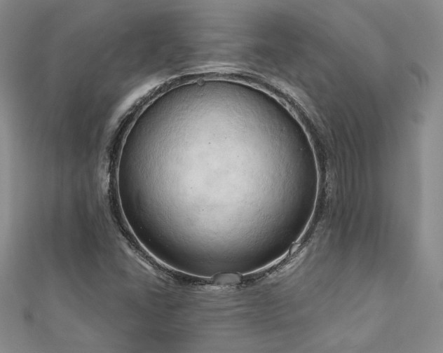 X0000113131406200909041138
