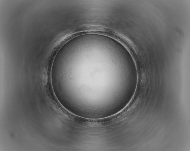 X0000113131407200909041138
