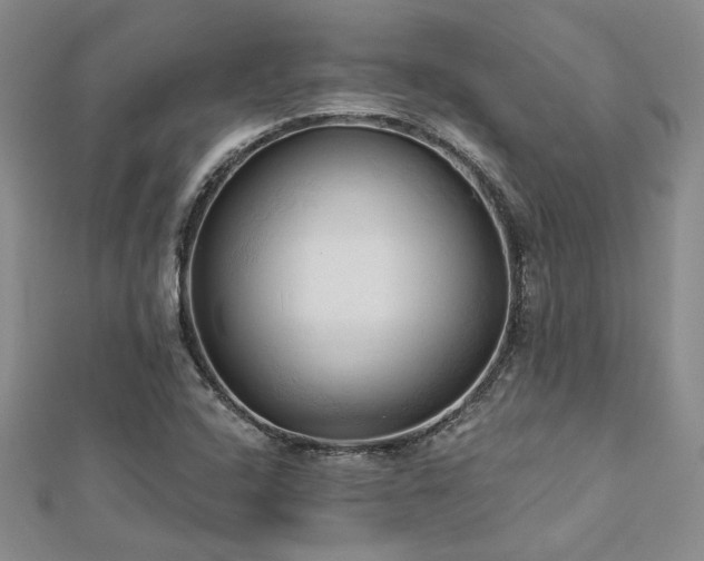 X0000113131408200909041138
