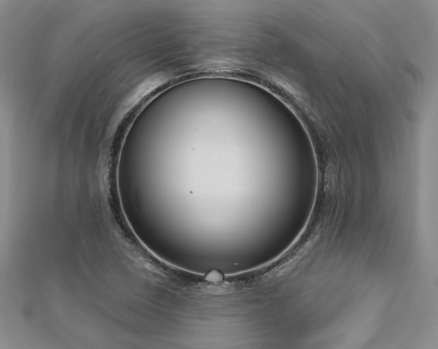 X0000113131410200909041138