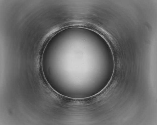 X0000113131411200909041138