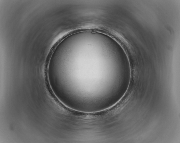 X0000113131412200909041138