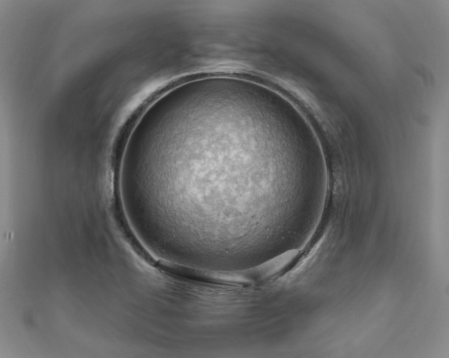 X0000113131414200909041138