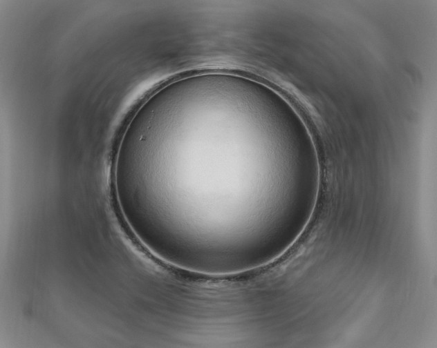 X0000113131416200909041138
