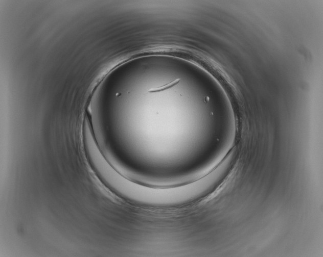 X0000113131417200909041138