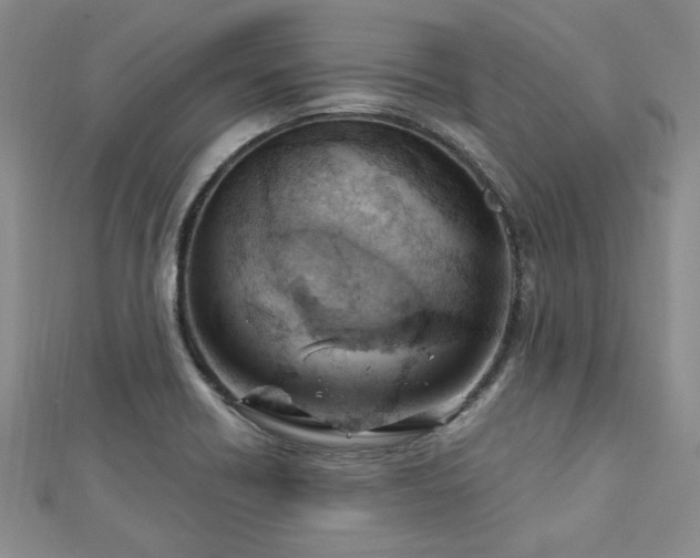 X0000113131418200909041138