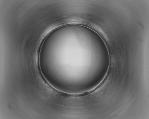 X0000113131419200909041138