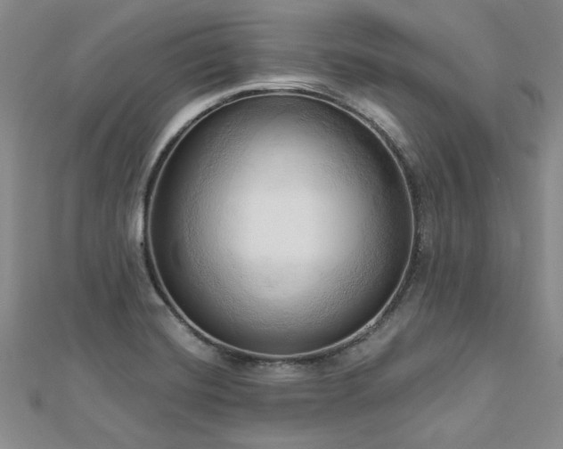 X0000113131420200909041138