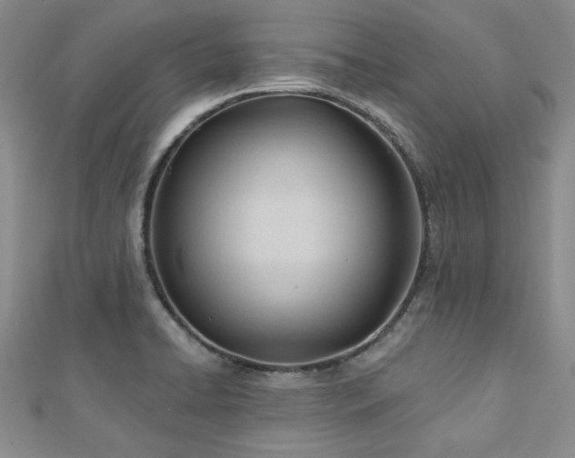 X0000113131422200909041138