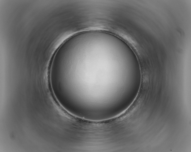 X0000113131423200909041138