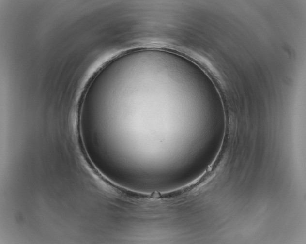 X0000113131424200909041138