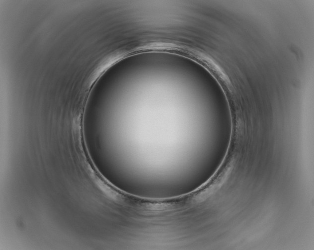 X0000113131425200909041138