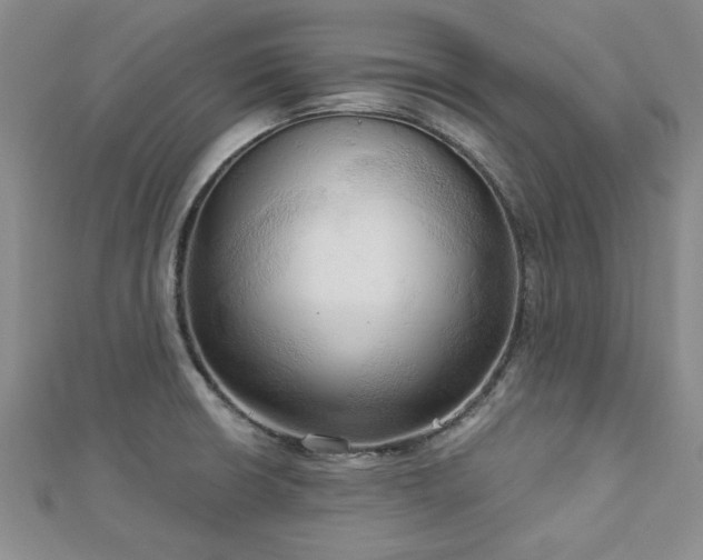 X0000113131426200909041138