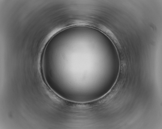 X0000113131427200909041138