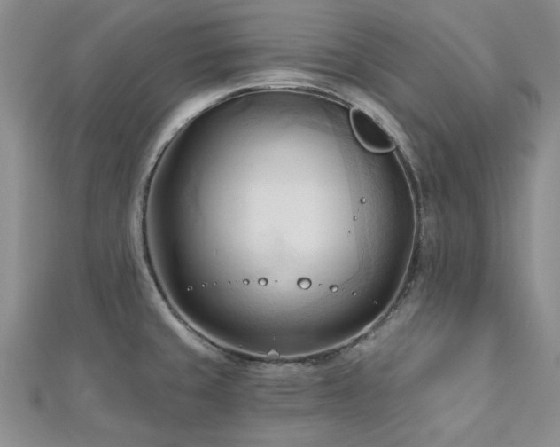 X0000113131429200909041138