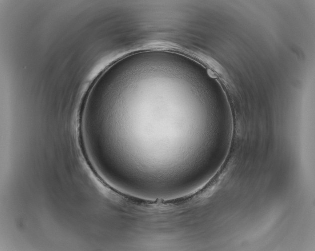 X0000113131430200909041138