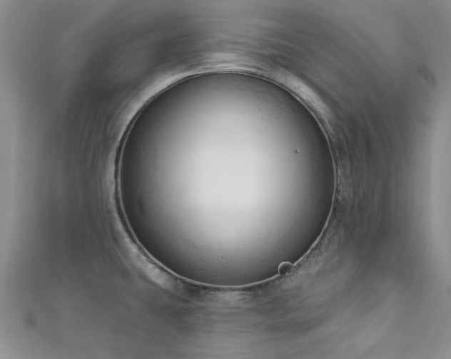 X0000113131431200909041138