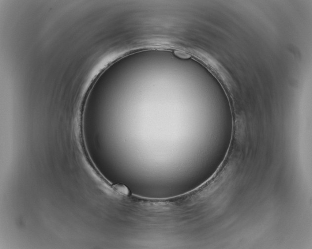 X0000113131432200909041138