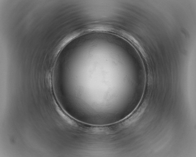 X0000113131433200909041138