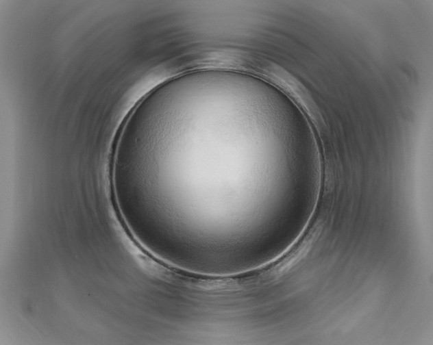 X0000113131434200909041138