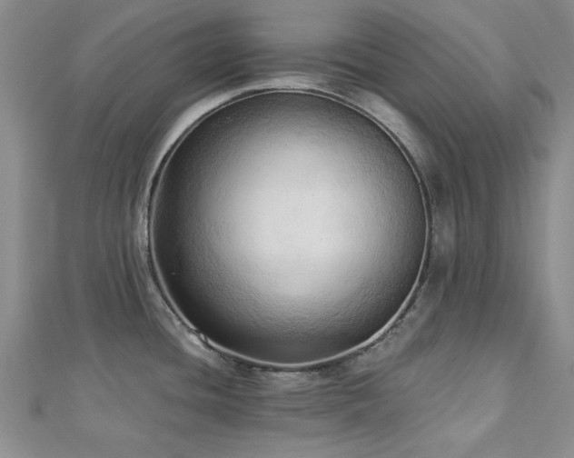 X0000113131436200909041138