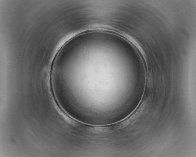 X0000113131437200909041138