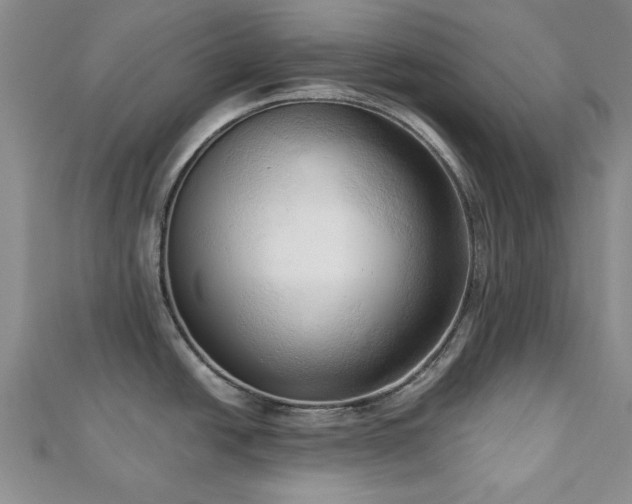 X0000113131438200909041138