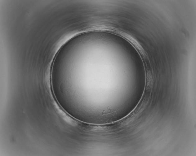 X0000113131439200909041138