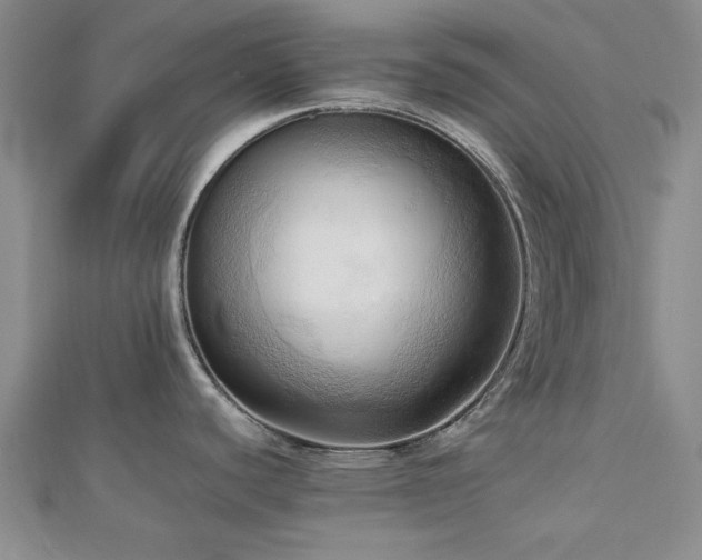 X0000113131440200909041138