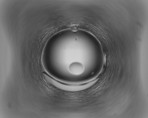 X0000113131441200909041137