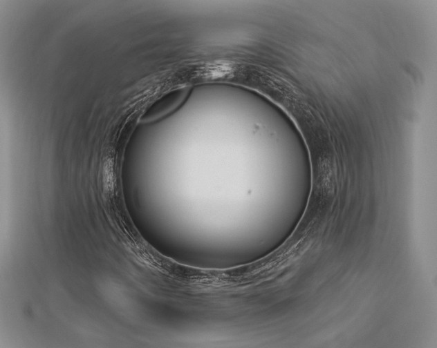 X0000113131442200909041137