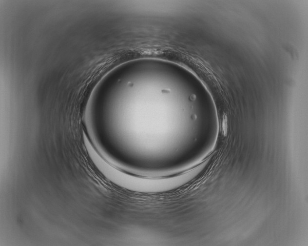 X0000113131444200909041137