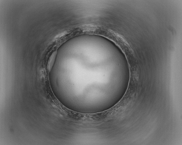 X0000113131445200909041137
