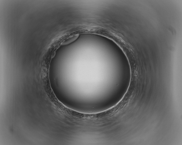 X0000113131447200909041137