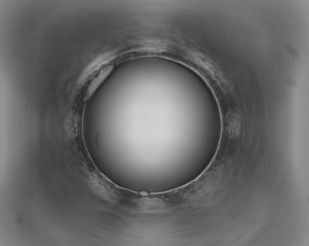 X0000113131448200909041137