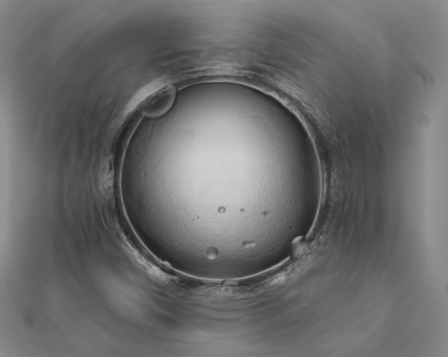 X0000113131450200909041137