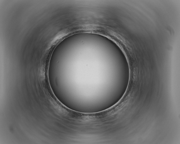 X0000113131451200909041137
