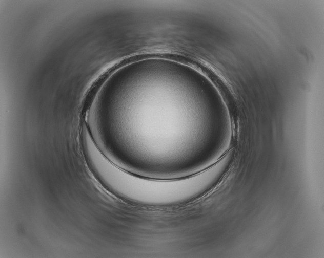 X0000113131452200909041137