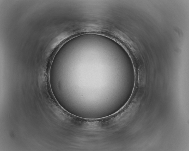 X0000113131453200909041137