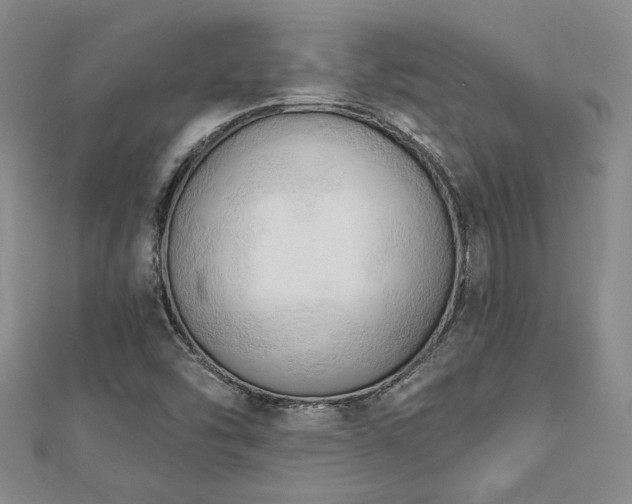 X0000113131454200909041137