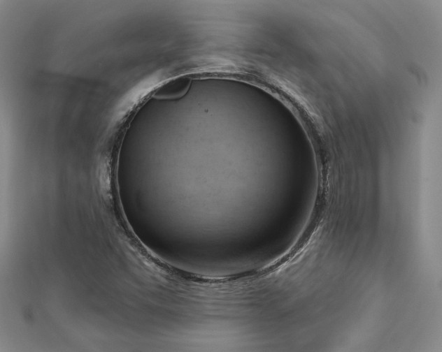 X0000113131455200909041137