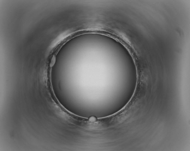 X0000113131456200909041137