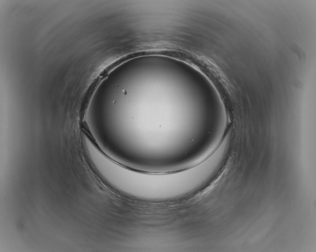 X0000113131457200909041137