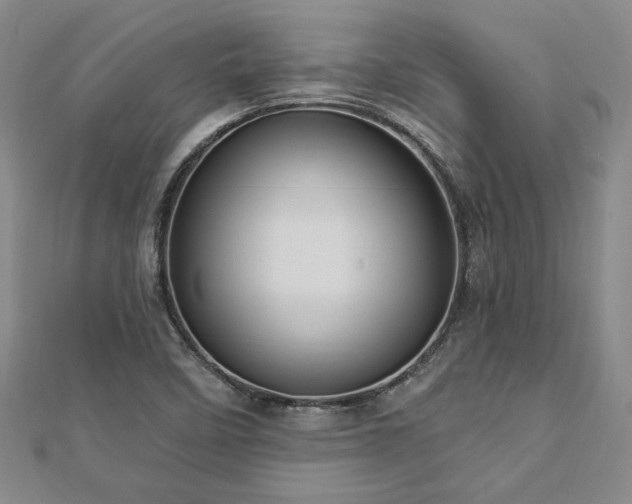 X0000113131458200909041137