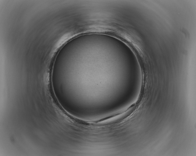 X0000113131459200909041137